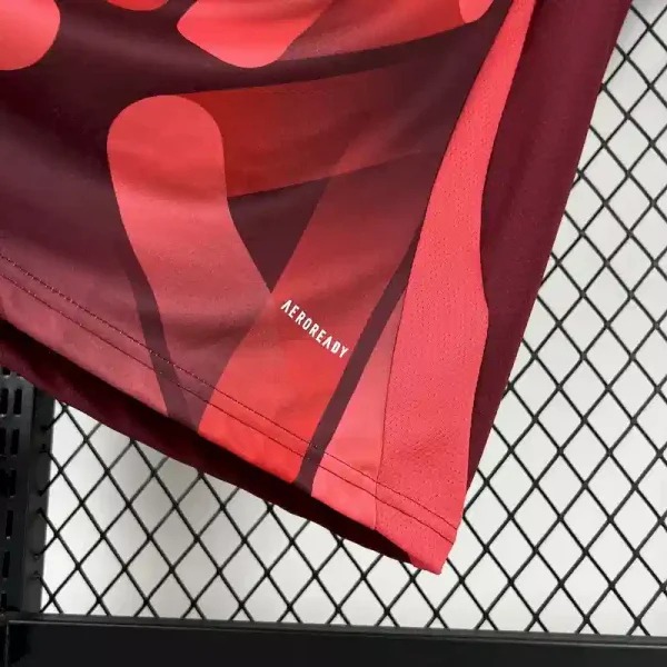 Germany Football Jersey Away Custom Shirt 2025 - U-jersey