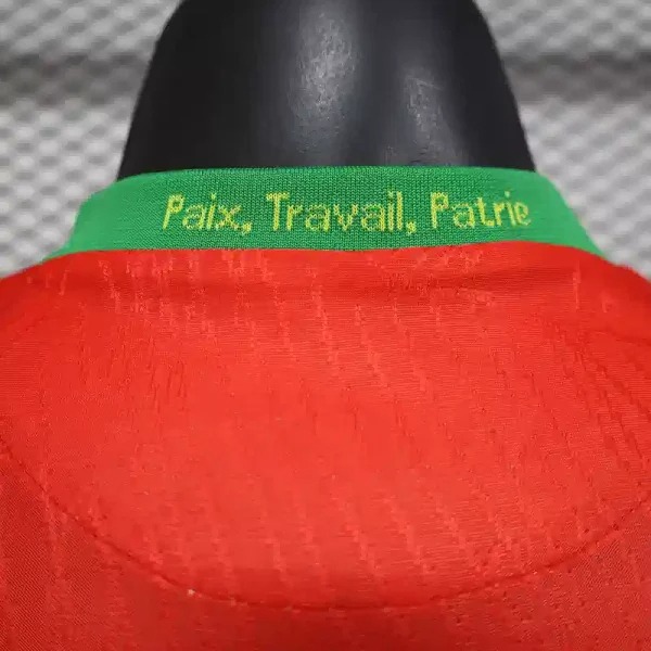 Cameroon Soccer Jersey Away Shirt 2025