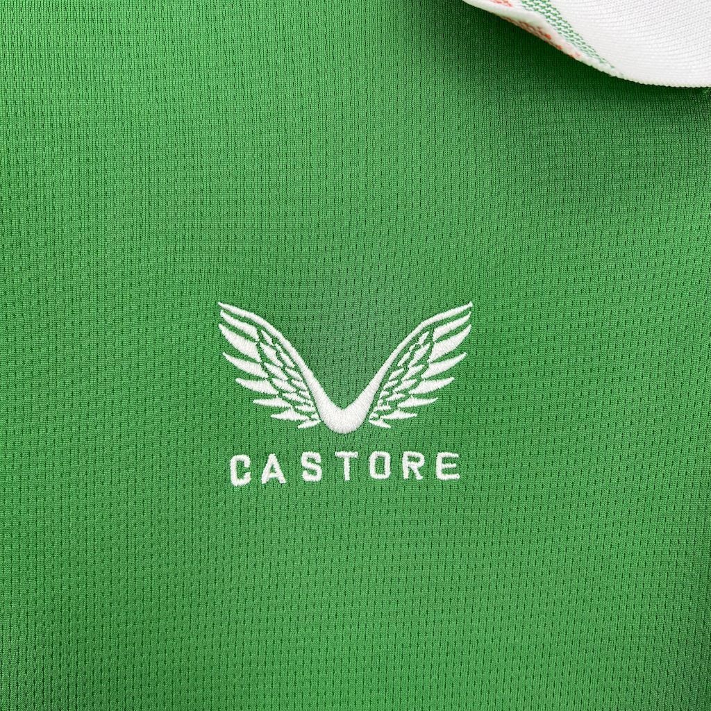 Ireland Soccer Jersey Home Custom Shirt 2025 - ujerseystore