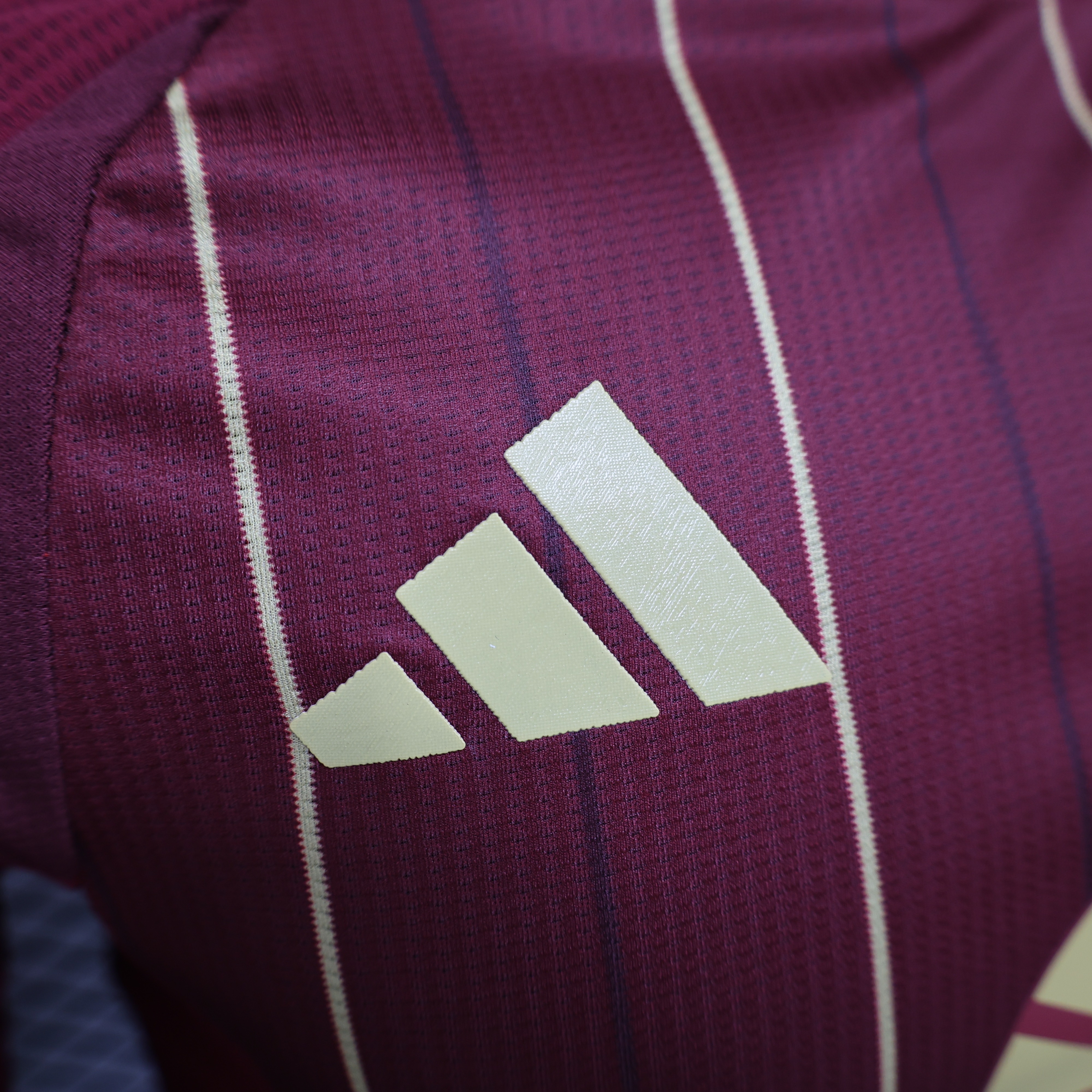 Roma Soccer Jersey Home Shirt 2024/25