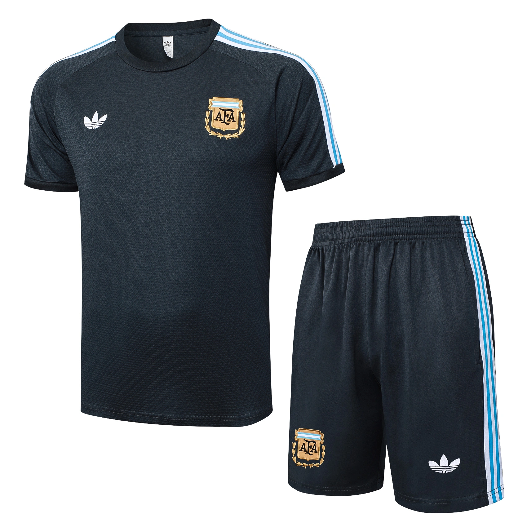 Argentina Training Jersey Kit Gray 2025 - Ujersey NHL