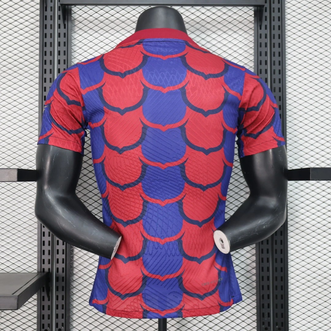 Football Jersey Barcelona Special Edition Shirt 2024/25