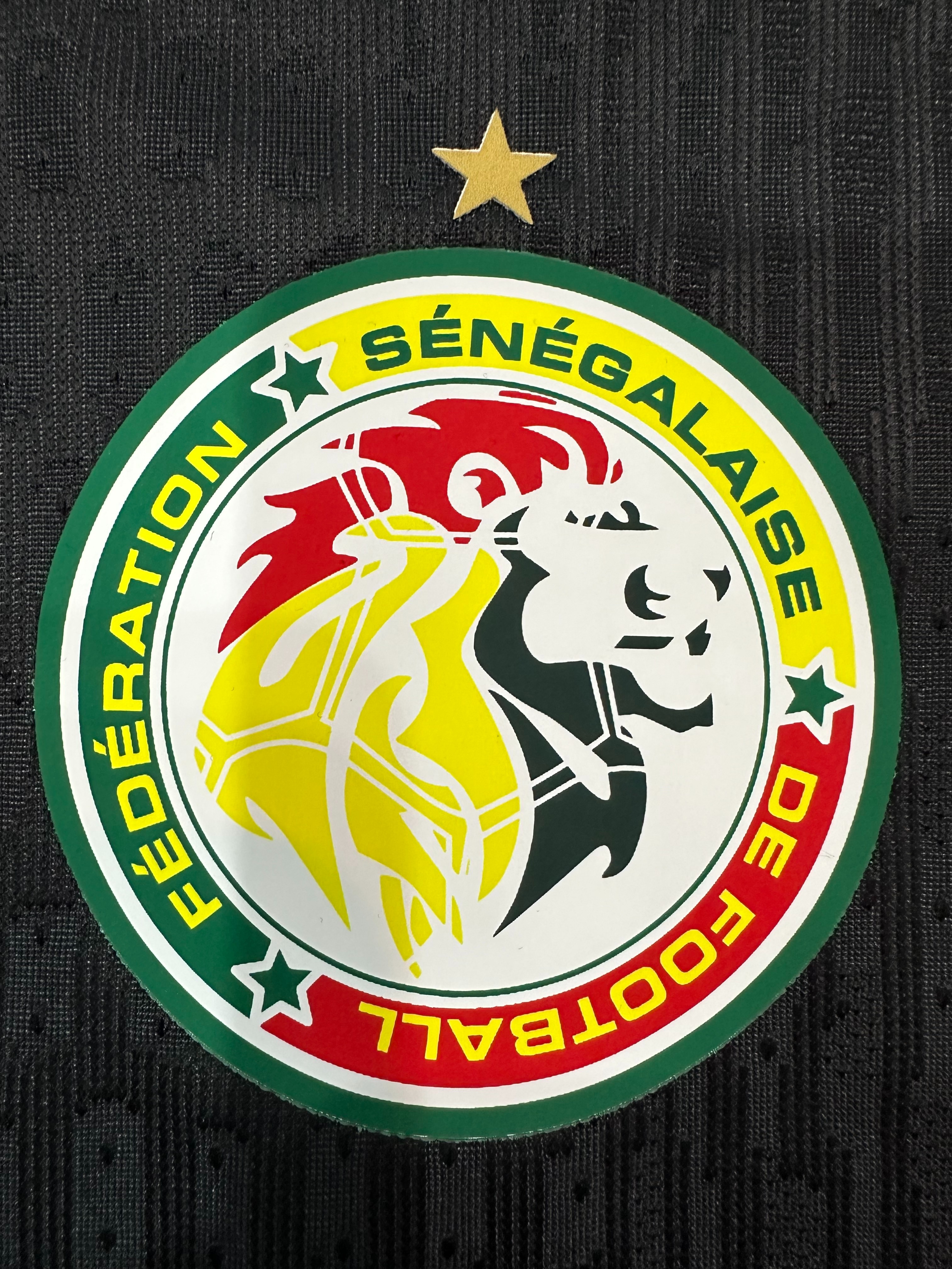 Senegal Soccer Jersey Third Away Shirt 2025