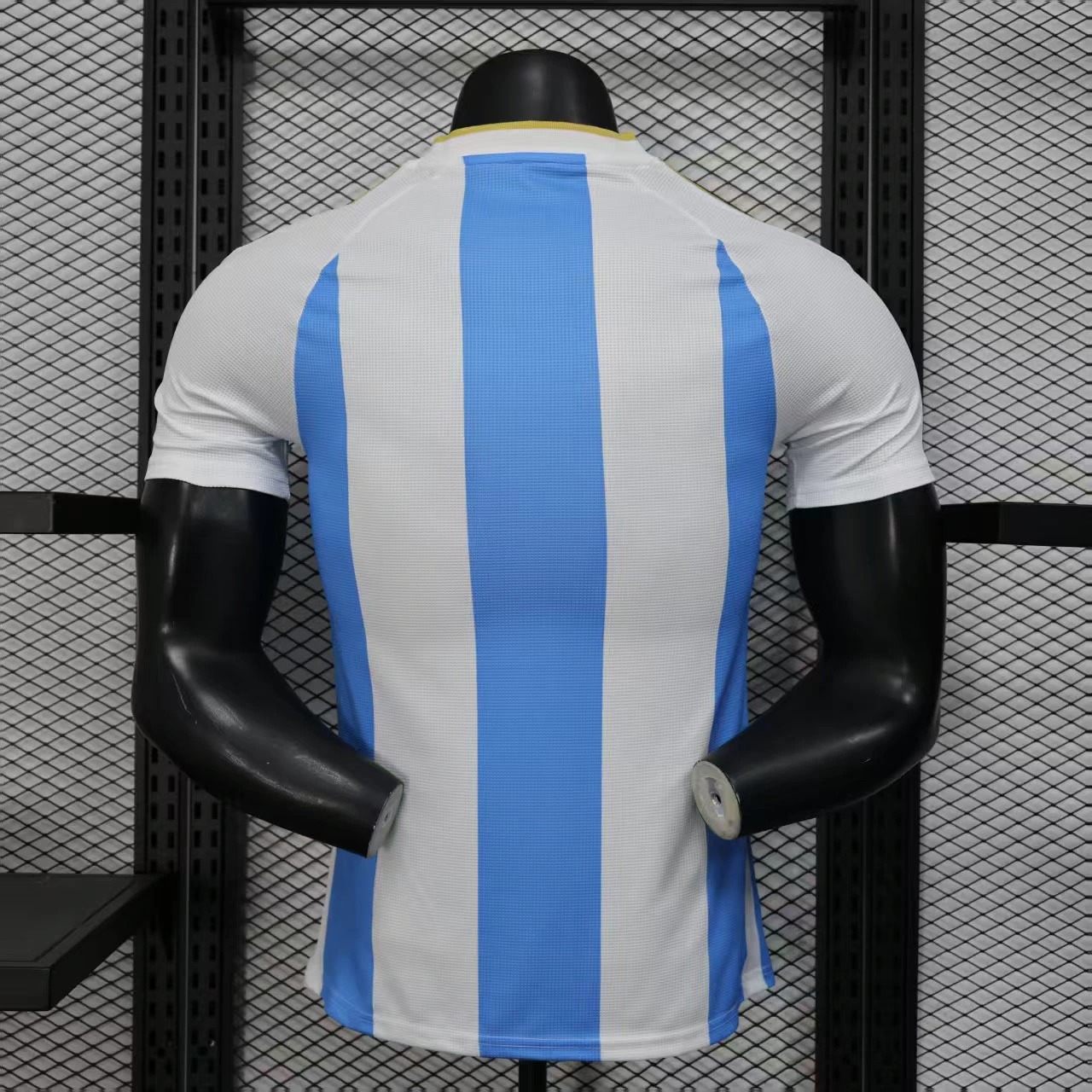 Argentina Soccer Jersey Home Shirt 2025