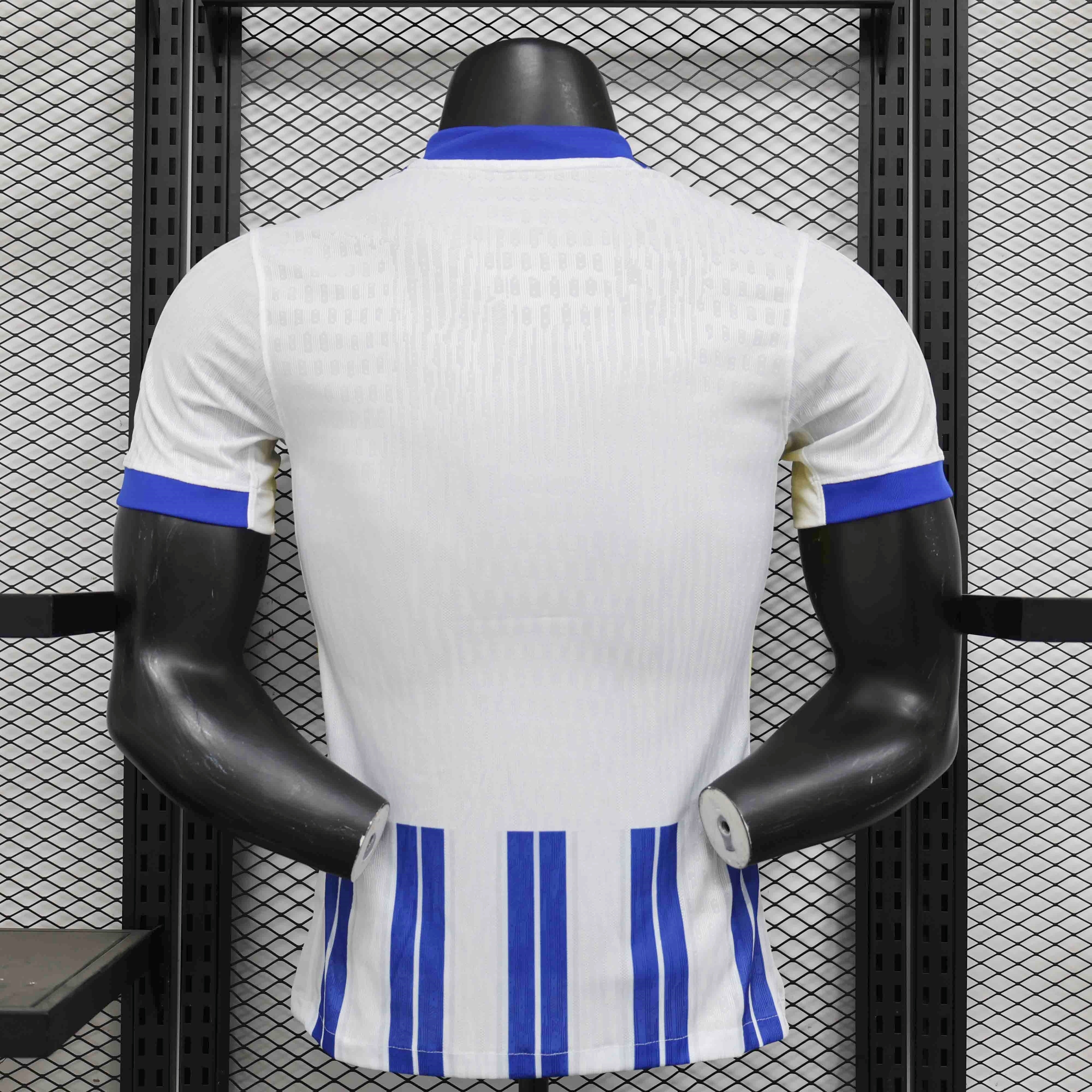 Brighton & Hove Albion Football Jersey Home Shirt 2024/25