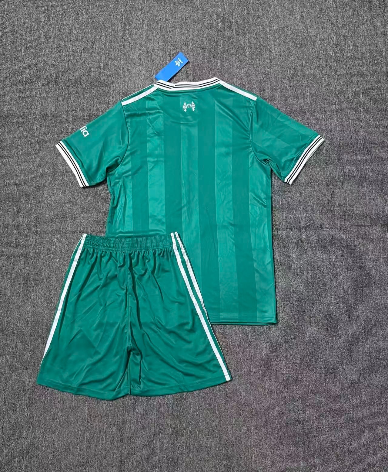Liverpool Football Jersey Two-Passenger Adult Suit Top+Pants 2025/2026