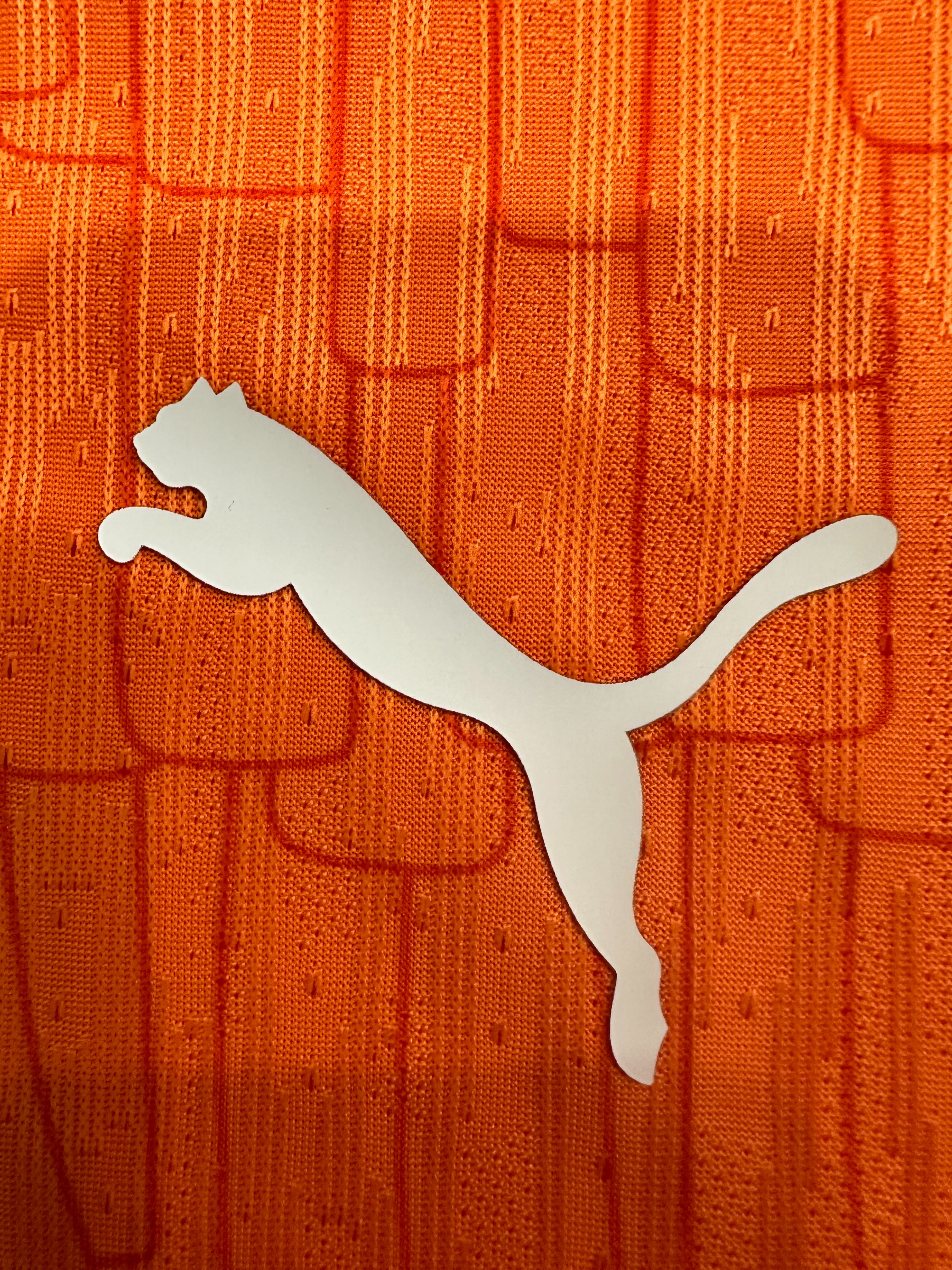 Côte d'Ivoire Soccer Jersey Home Shirt 2025 - U-jersey