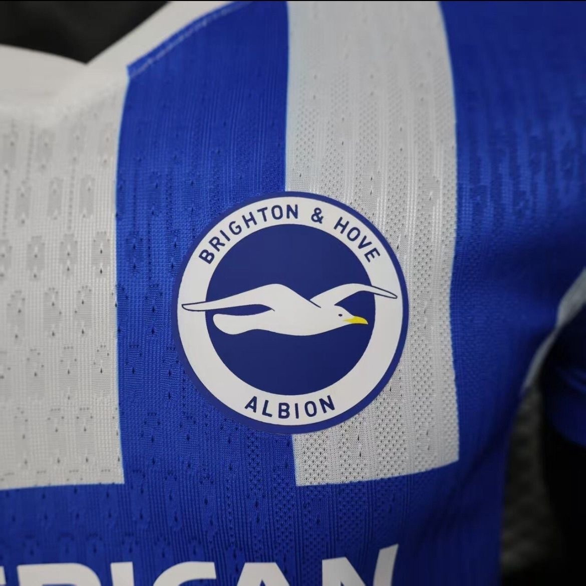 Brighton & Hove Albion Football Jersey Home Shirt 2025/26