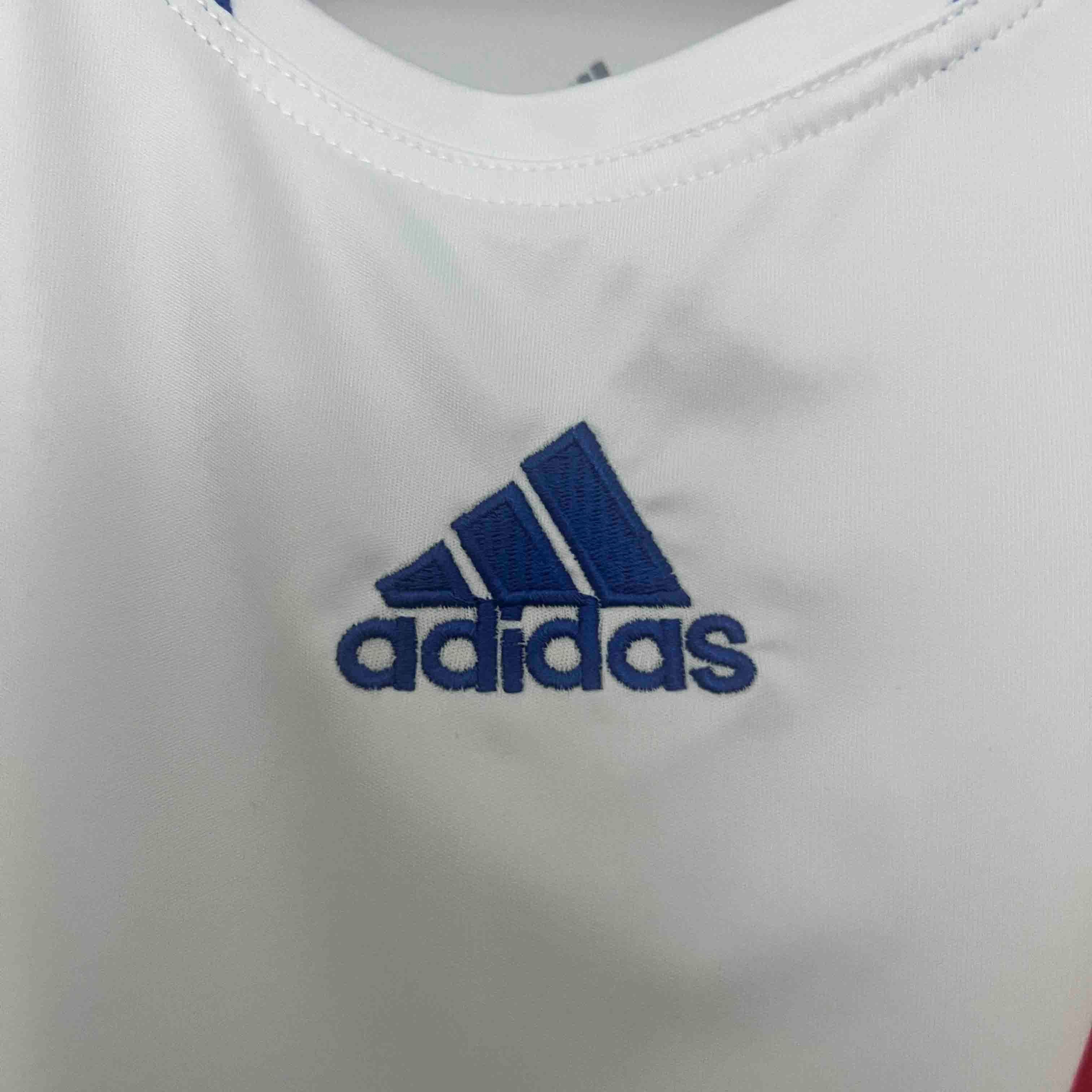 Olympique Lyonnais Retro Football Jersey Home Custom Shirt 2010-11 - ujerseystore
