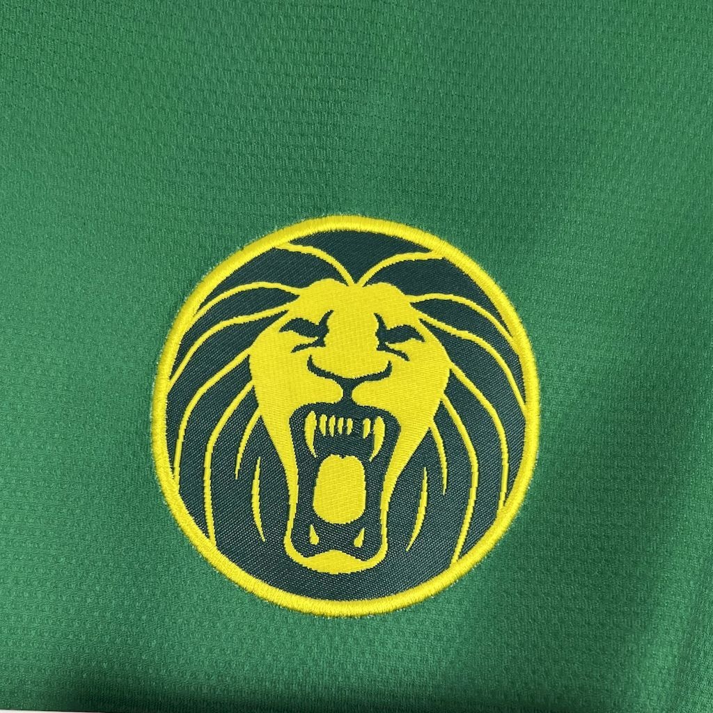 Cameroon Soccer Jersey Home Custom Shirt 2025