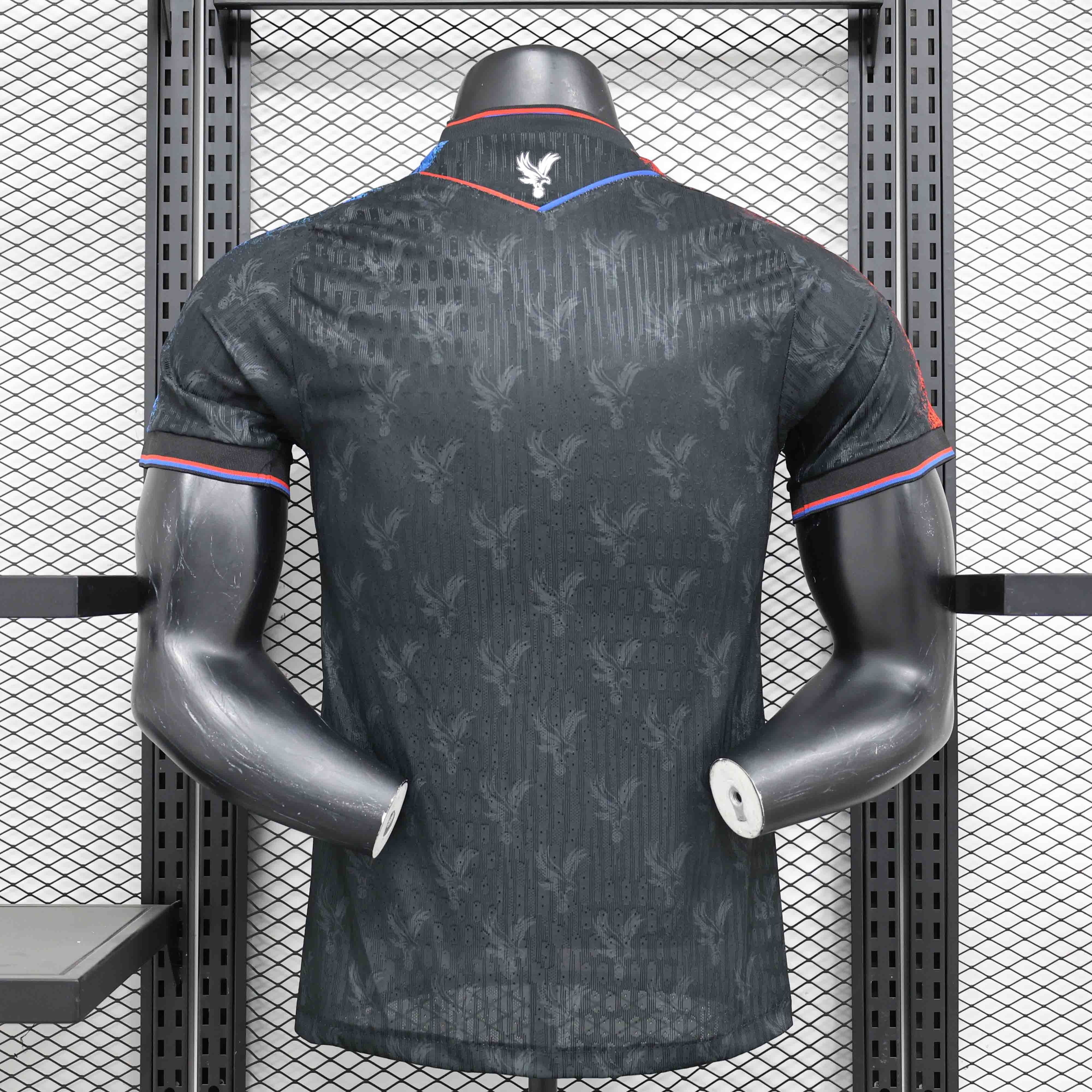 Crystal Palace Football Jersey Third Away Shirt 2024/25