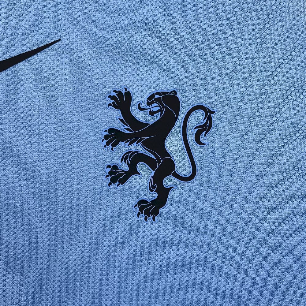 Netherlands Soccer Jersey Away Custom Shirt 2025