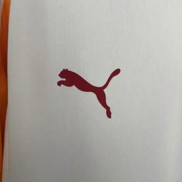Galatasaray Away Football Jersey Custom Shirt 2025/26 - ujerseystore