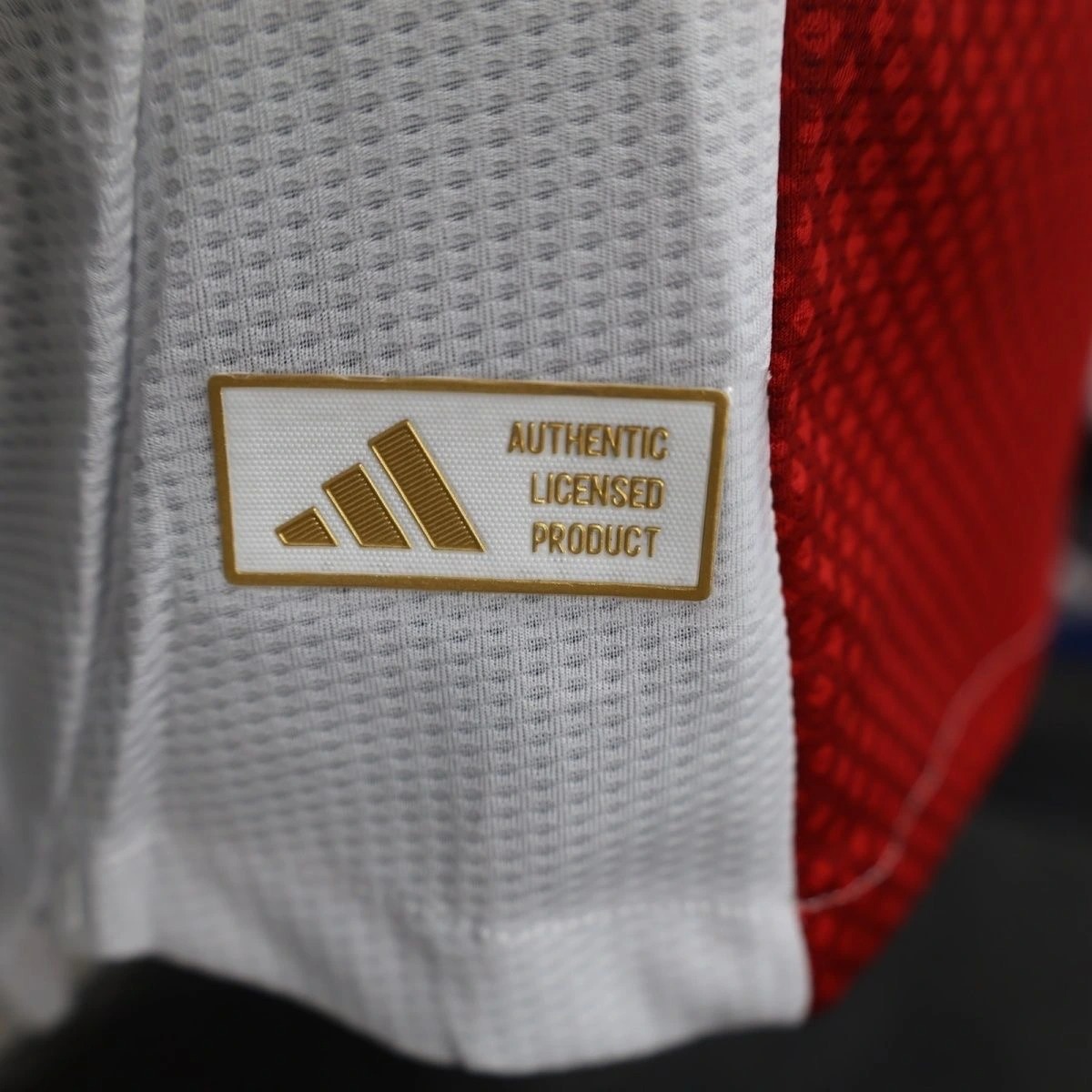 Ajax Football Jersey Home Shirt 2025/26
