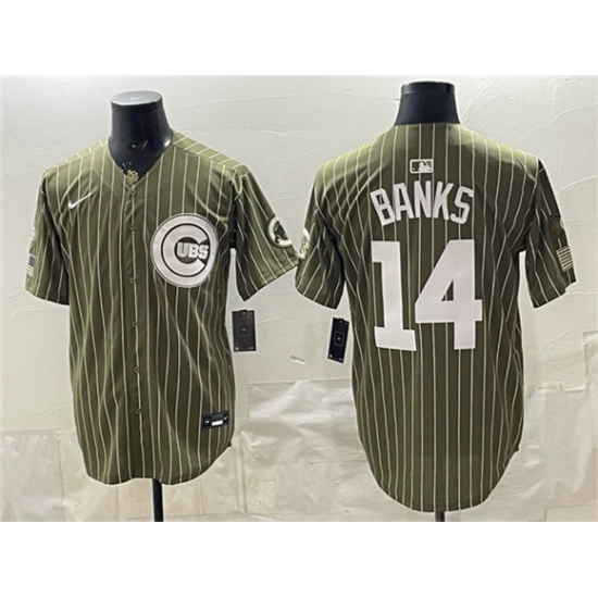 Men's Chicago Cubs #14 Ernie Banks Pinstripe Olive 2026 Armed Forces Day Salute To Service Stitched Baseball Jersey - Ujersey