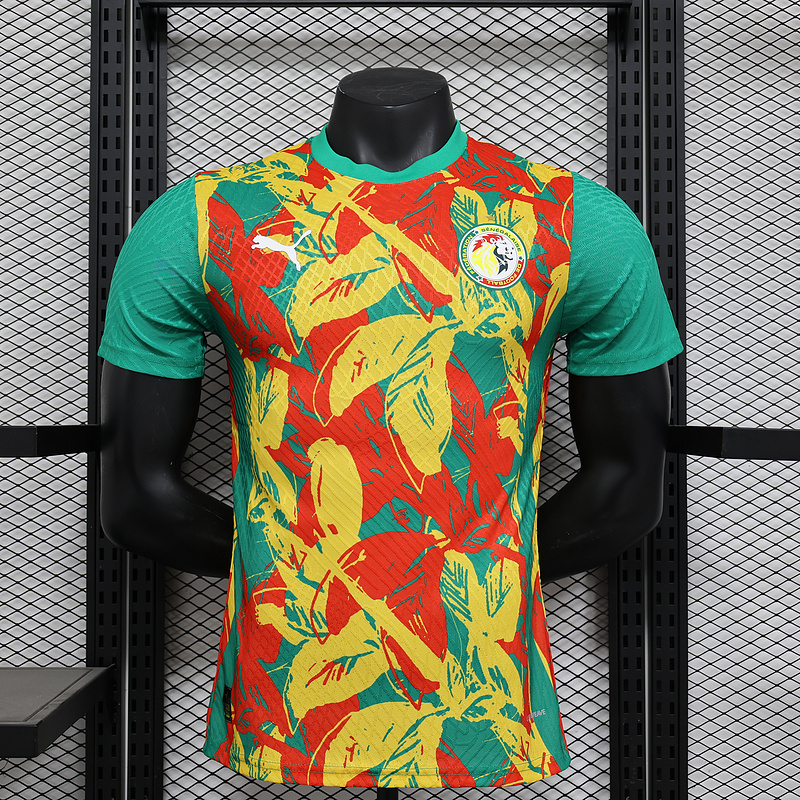 Ivory Coast  Soccer Jersey Pre-Match Shirt 2024 - Ujersey NHL