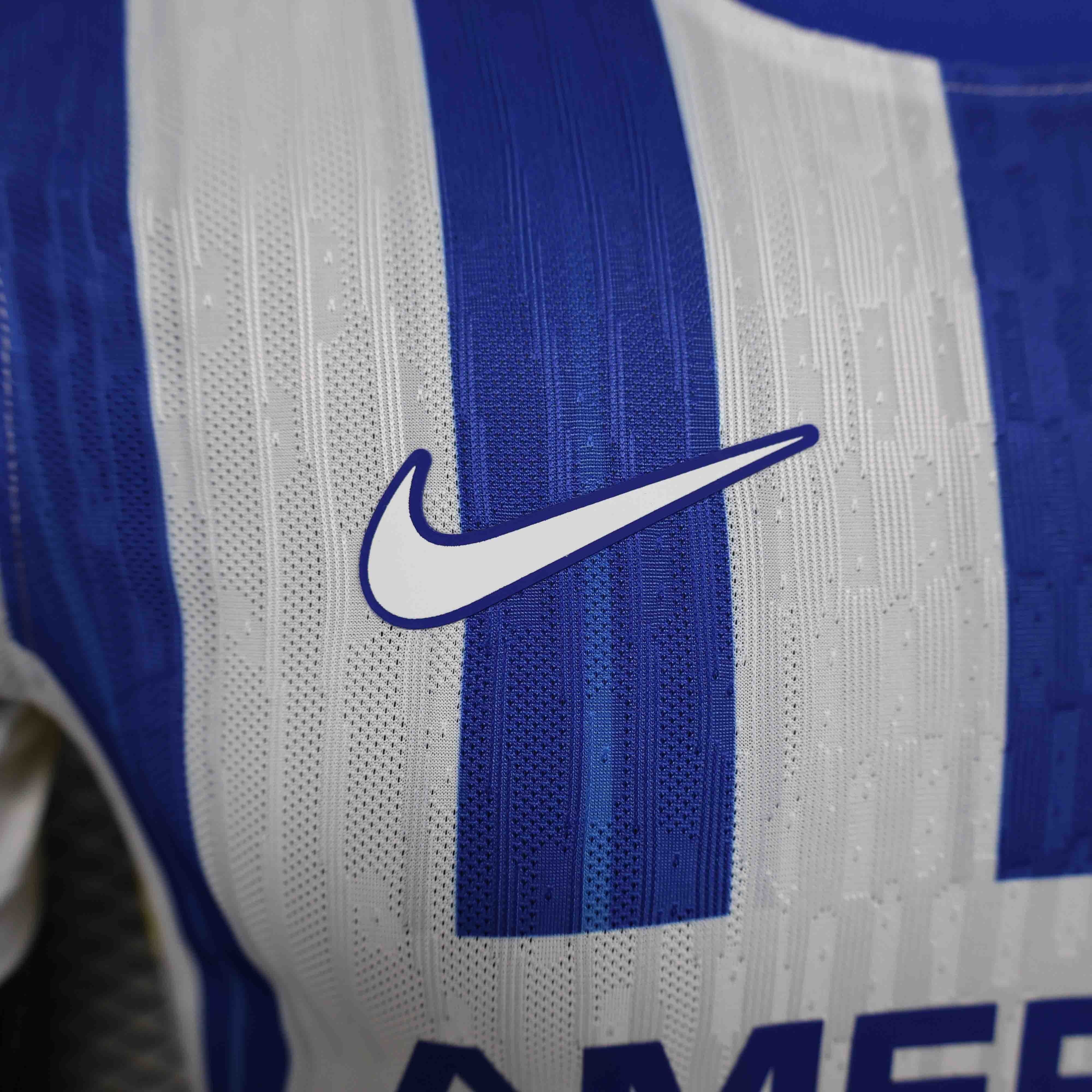 Brighton & Hove Albion Football Jersey Home Shirt 2024/25