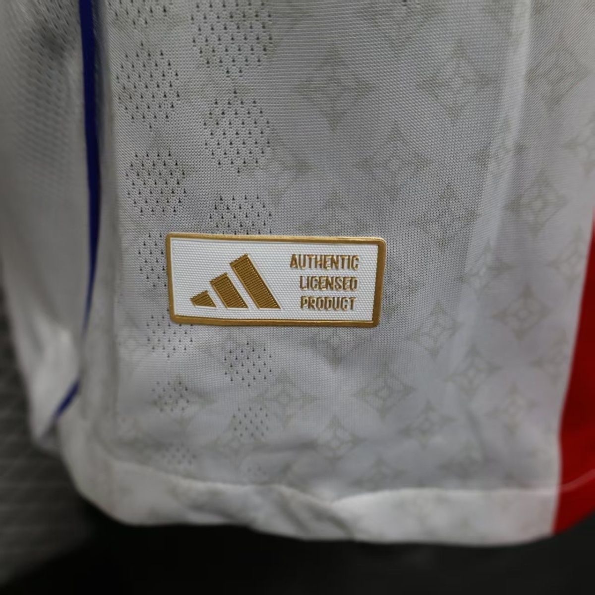 Olympique Lyonnais Soccer Jersey Home Shirt 2025-26