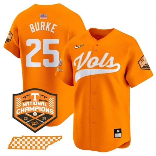Men's Tennessee Volunteers #25 Blake Burke Orange 2024 Champions Vapor Limited Stitched Jersey - Ujersey