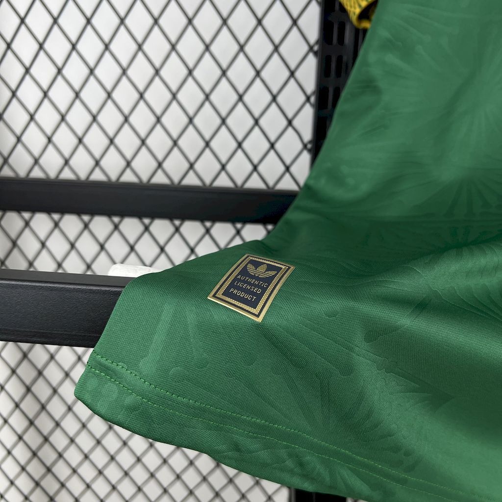 Mexico Green Special Soccer Jersey Custom Shirt 2025