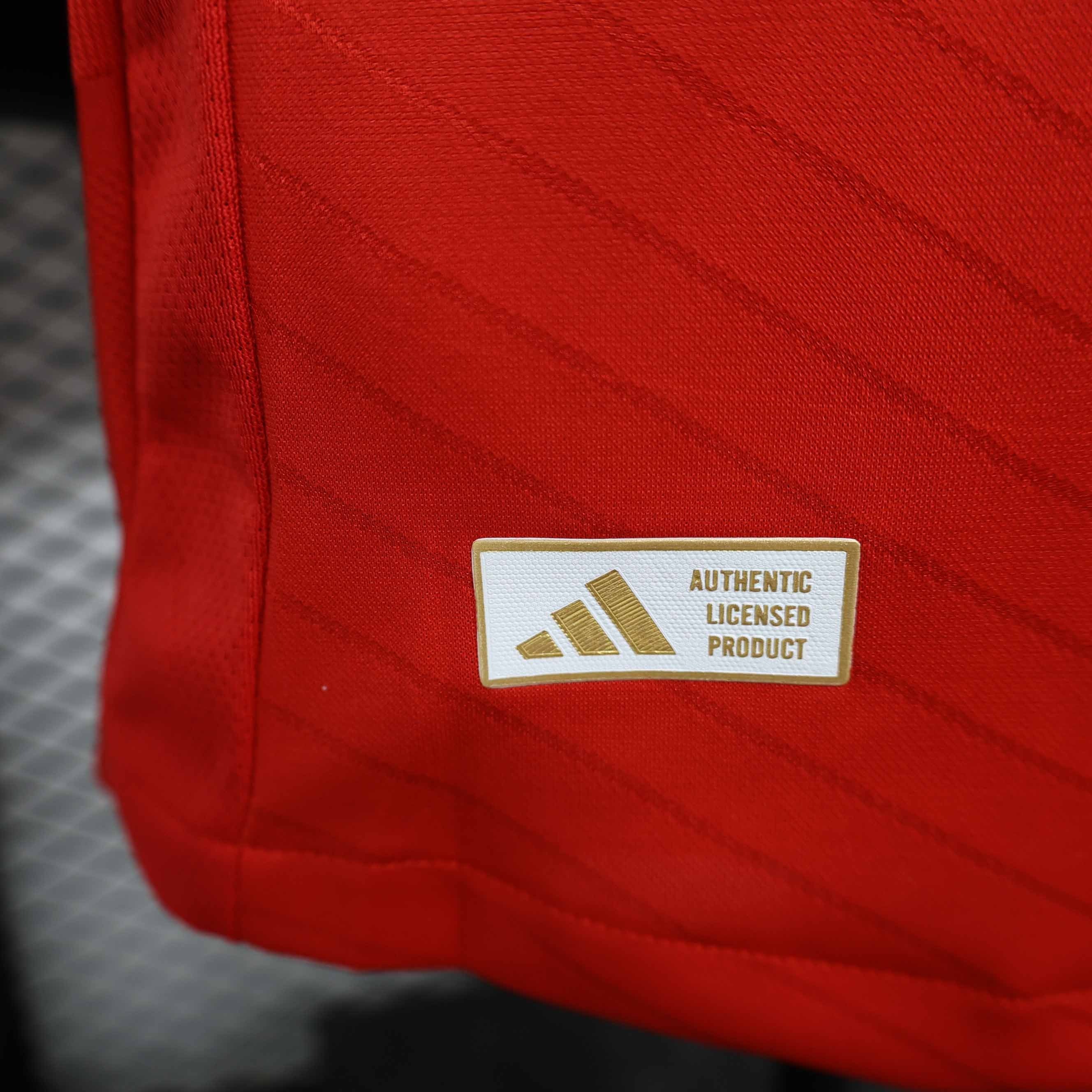 Benfica Soccer Jersey Home Shirt 2024/25