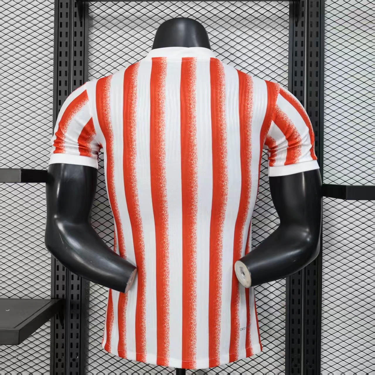 Soccer Jersey Inter Milan Special Edition Shirt 2025/26 - U-jersey