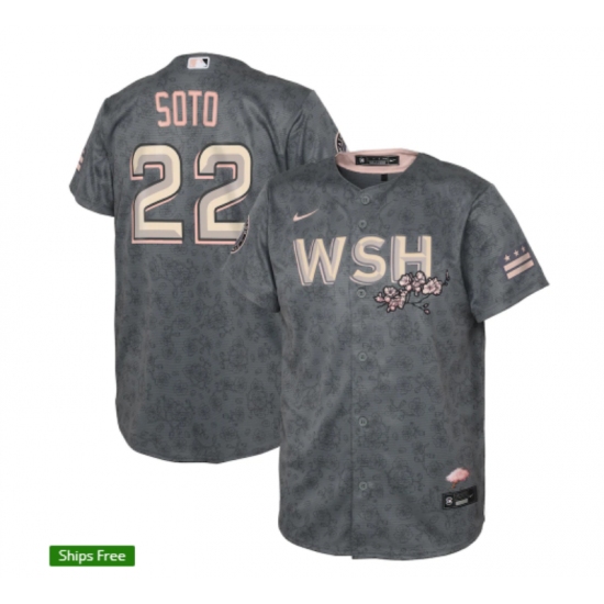 Men's Washington Nationals #22 Juan Soto Nike Gray 2022 City Connect Replica Player Jersey