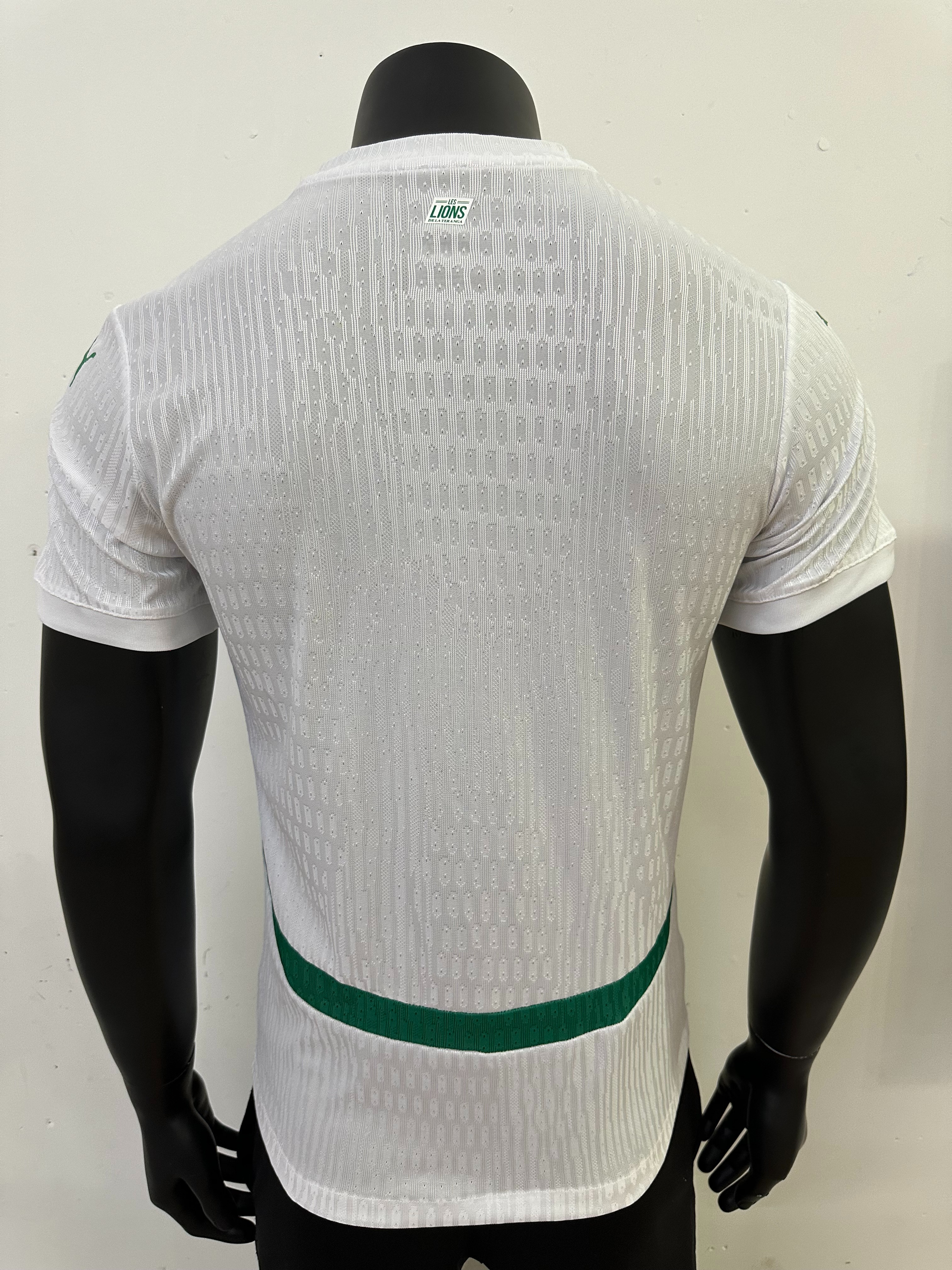 Senegal Soccer Jersey Home Shirt 2025
