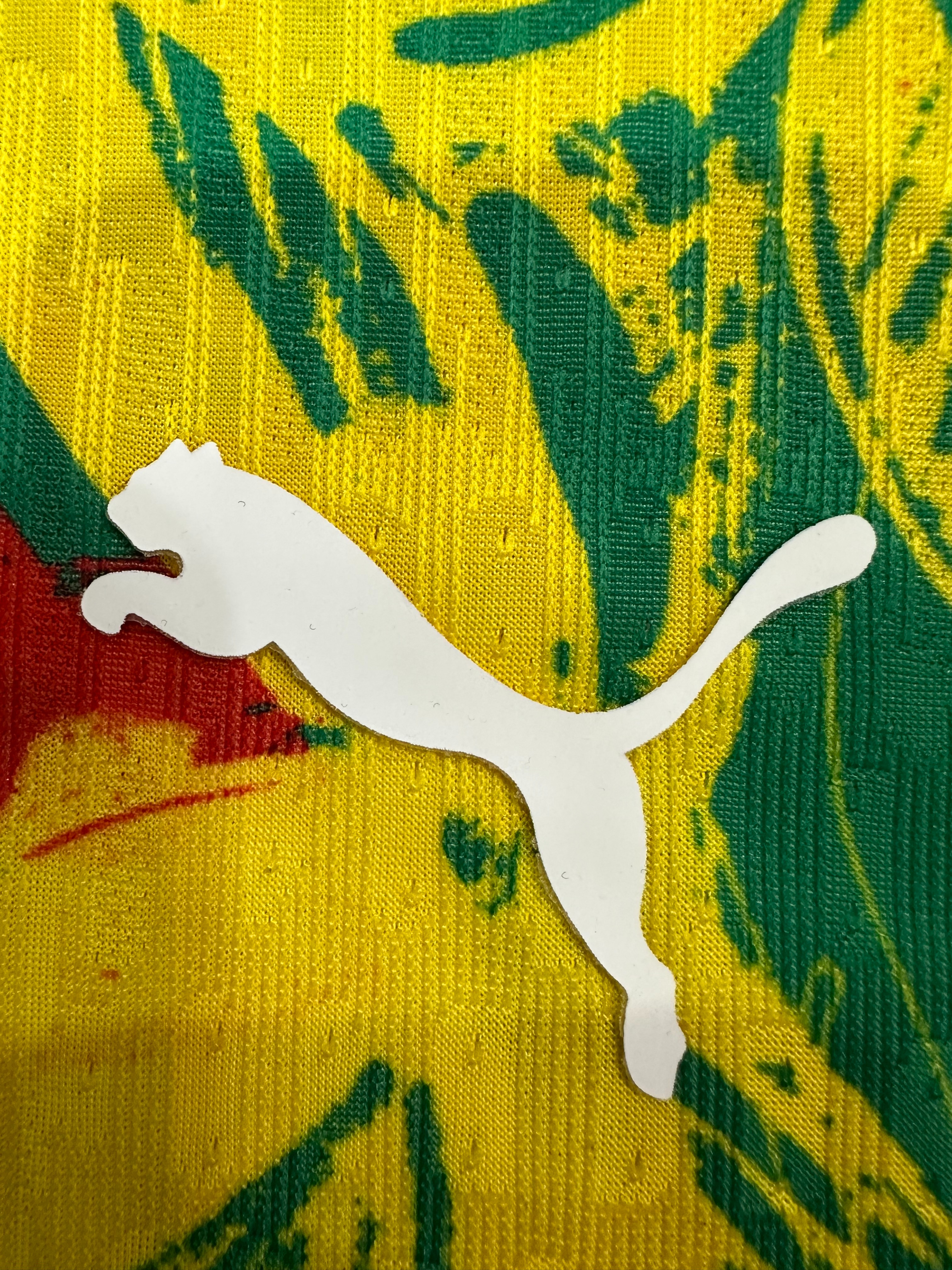 Senegal Soccer Jersey Training Shirt 2025 - U-jersey