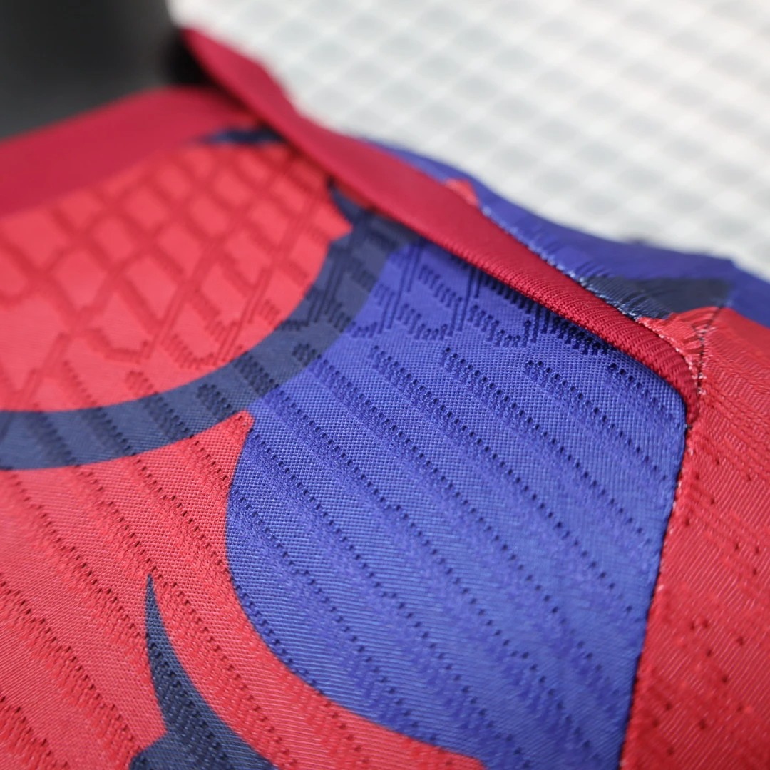 Football Jersey Barcelona Special Edition Shirt 2024/25 - Ujersey NHL