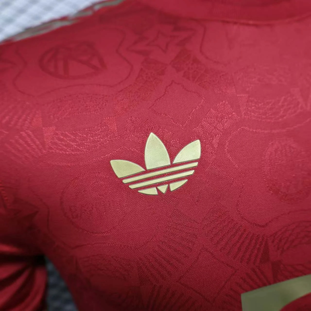 Bayern Munich Soccer Jersey Shirt 2025/26 125th Anniversary