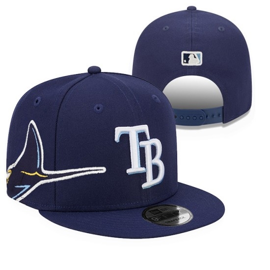 MLB Tampa Bay Rays Stitched Snapback Hats 2026.1-01