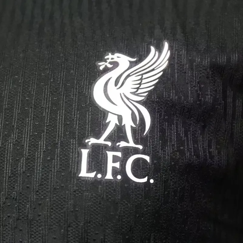 Liverpool Football Jersey Away Shirt 2024/25