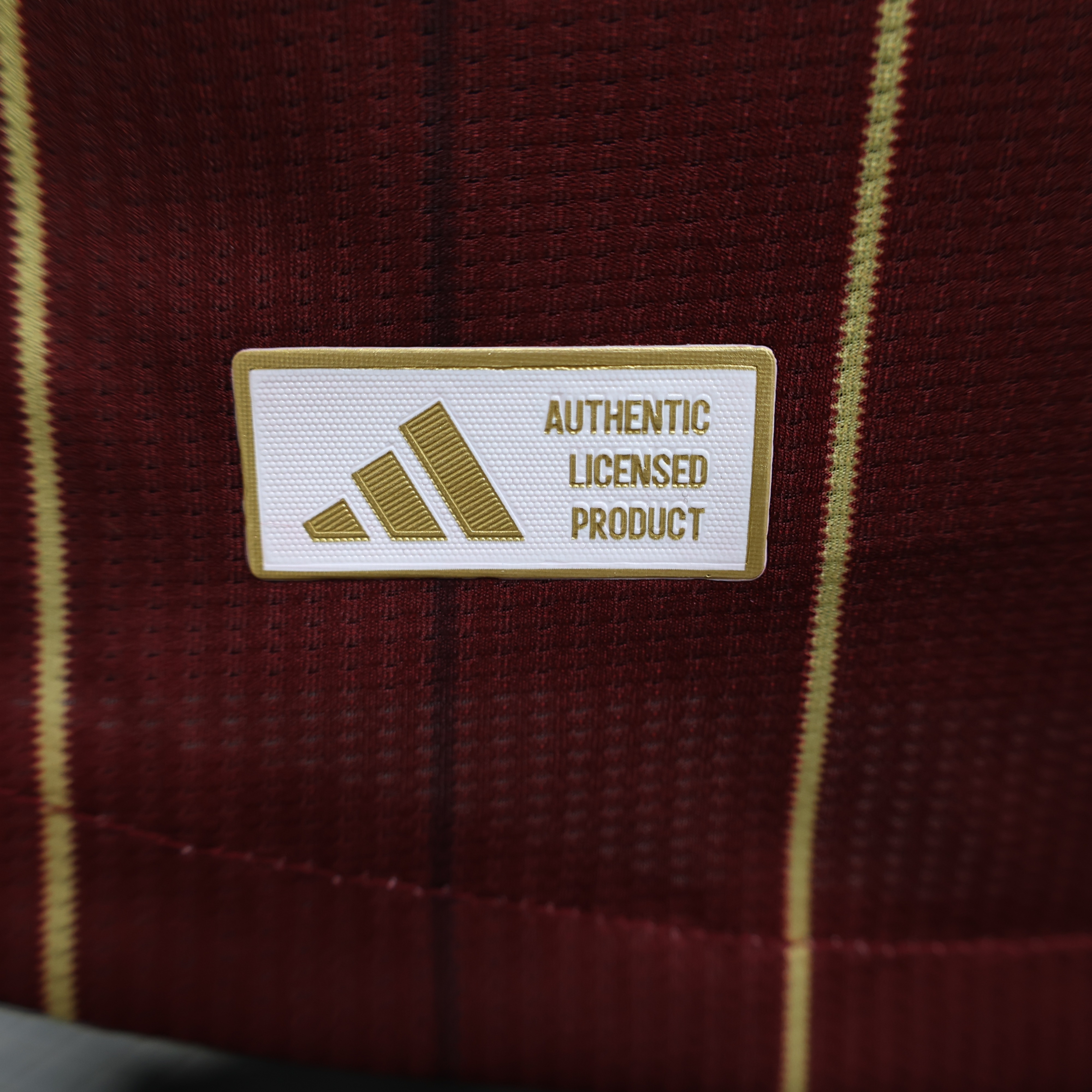 Roma Soccer Jersey Home Shirt 2024/25