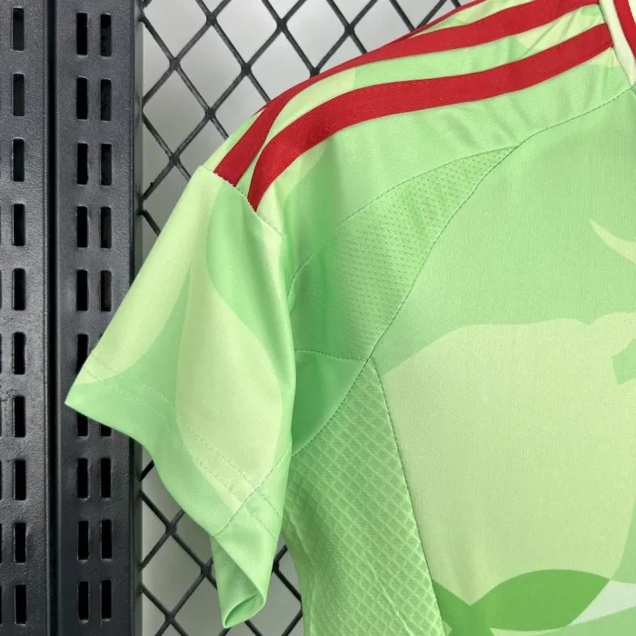 Italy Soccer Jersey Away Women's Custom Shirt 2025 - ujerseystore