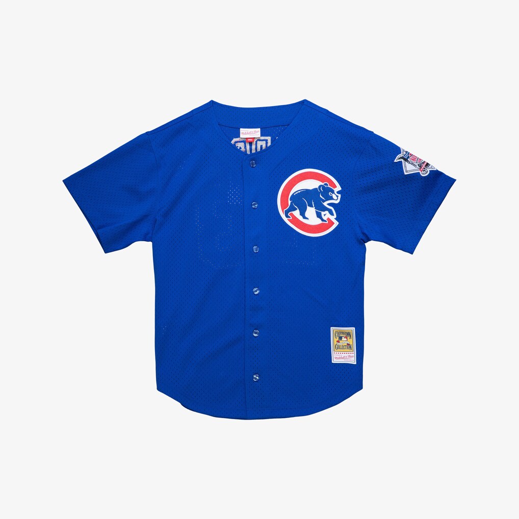 Men's Chicago Cubs Ryne Sandberg Mitchell & Ness Royal Cooperstown Collection 1997 Mesh Batting Practice Button-Up Jersey - U-jersey