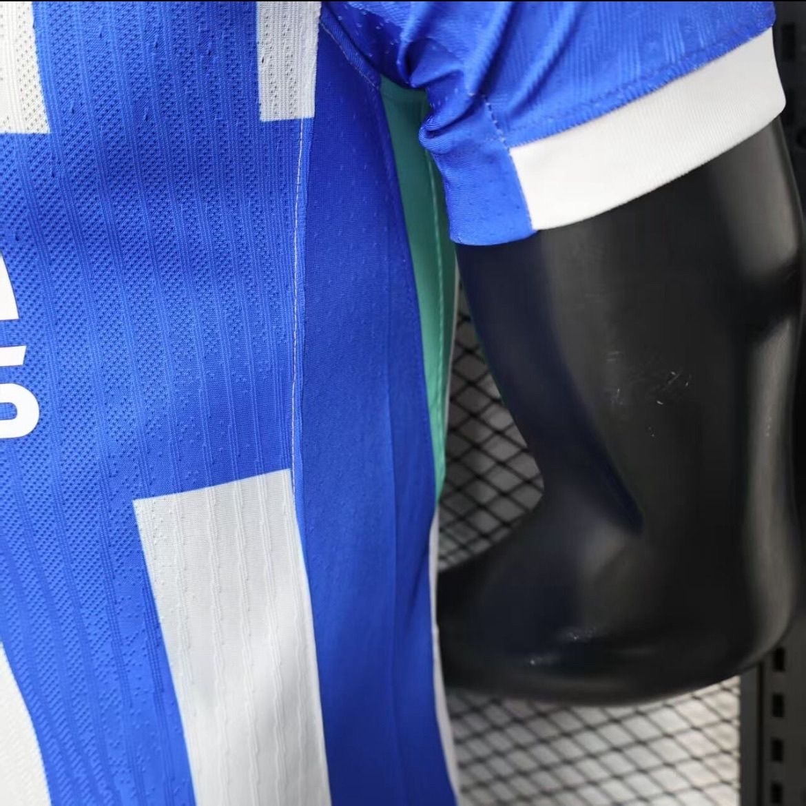 Brighton & Hove Albion Football Jersey Home Shirt 2025/26