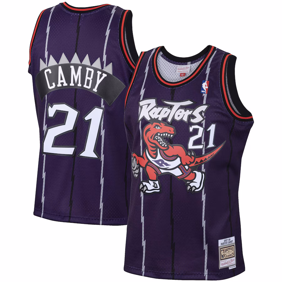 Men's Toronto Raptors Marcus Camby Mitchell & Ness Purple 2001/02 Hardwood Classics Swingman Jersey - Ujersey NHL