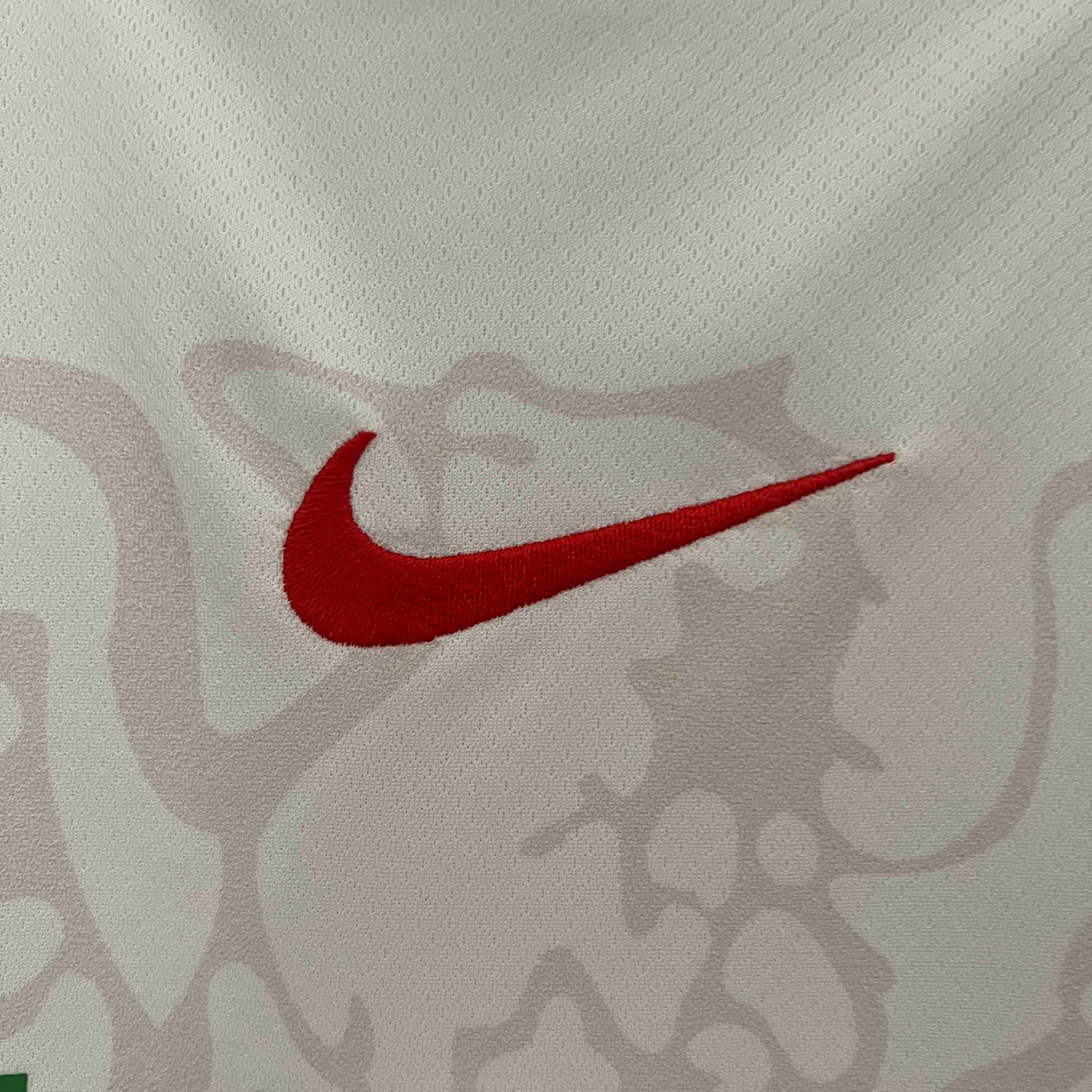 Nigeria Soccer Jersey Home Custom Shirt 2024