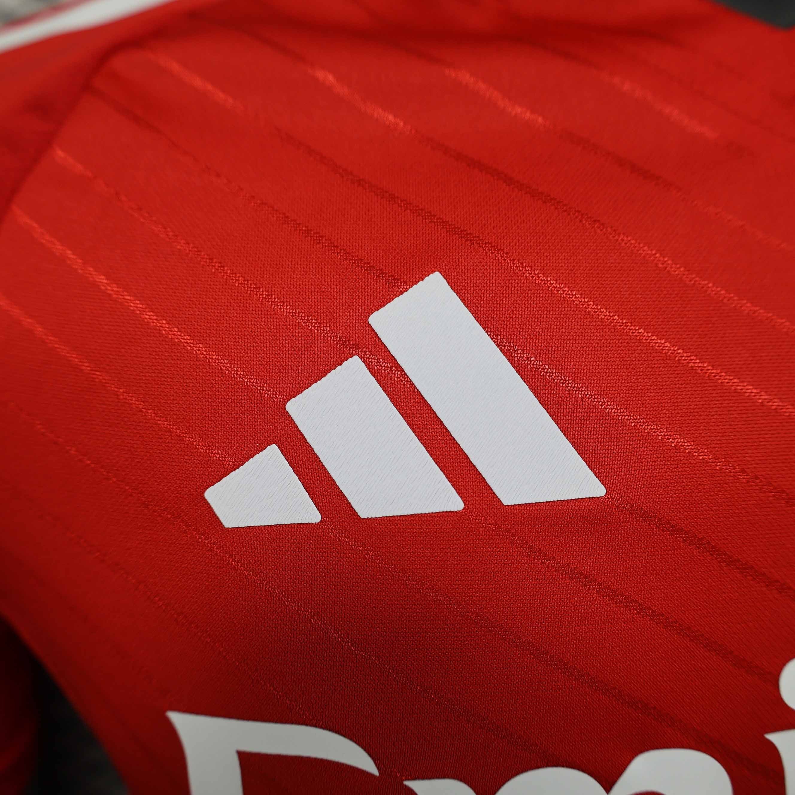 Benfica Soccer Jersey Home Shirt 2024/25