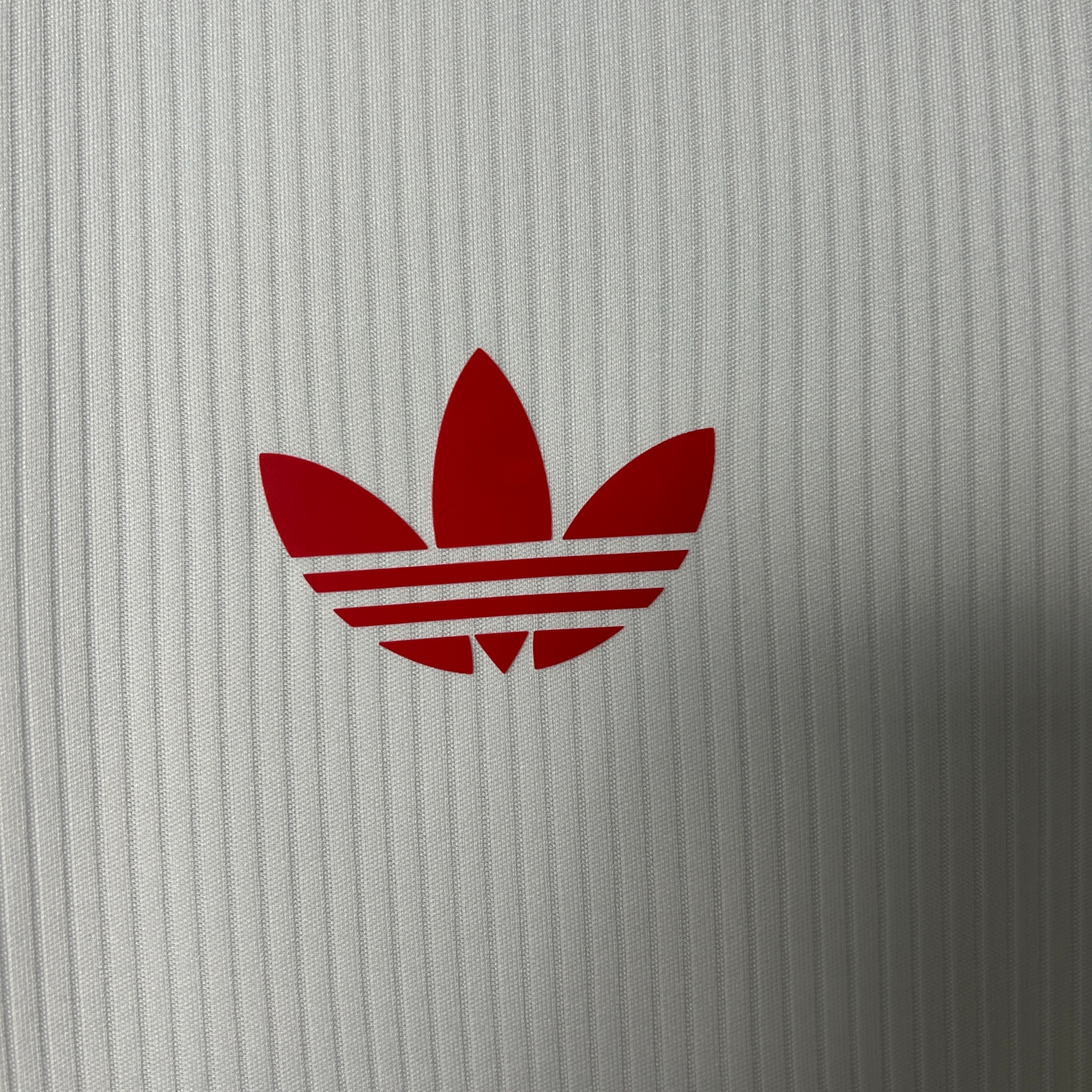 Benfica Soccer Jersey Special Edition Custom Shirt 2025/26