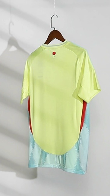 Spain Soccer Jersey Away Custom Shirt EURO 2024 - U-jersey