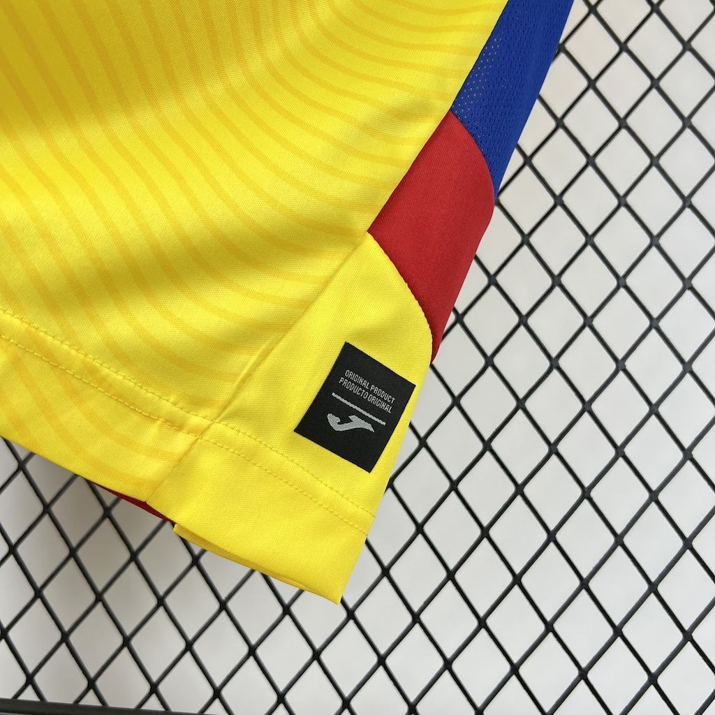 Romania Soccer Jersey Home Custom Shirt 2025/26 - ujerseystore