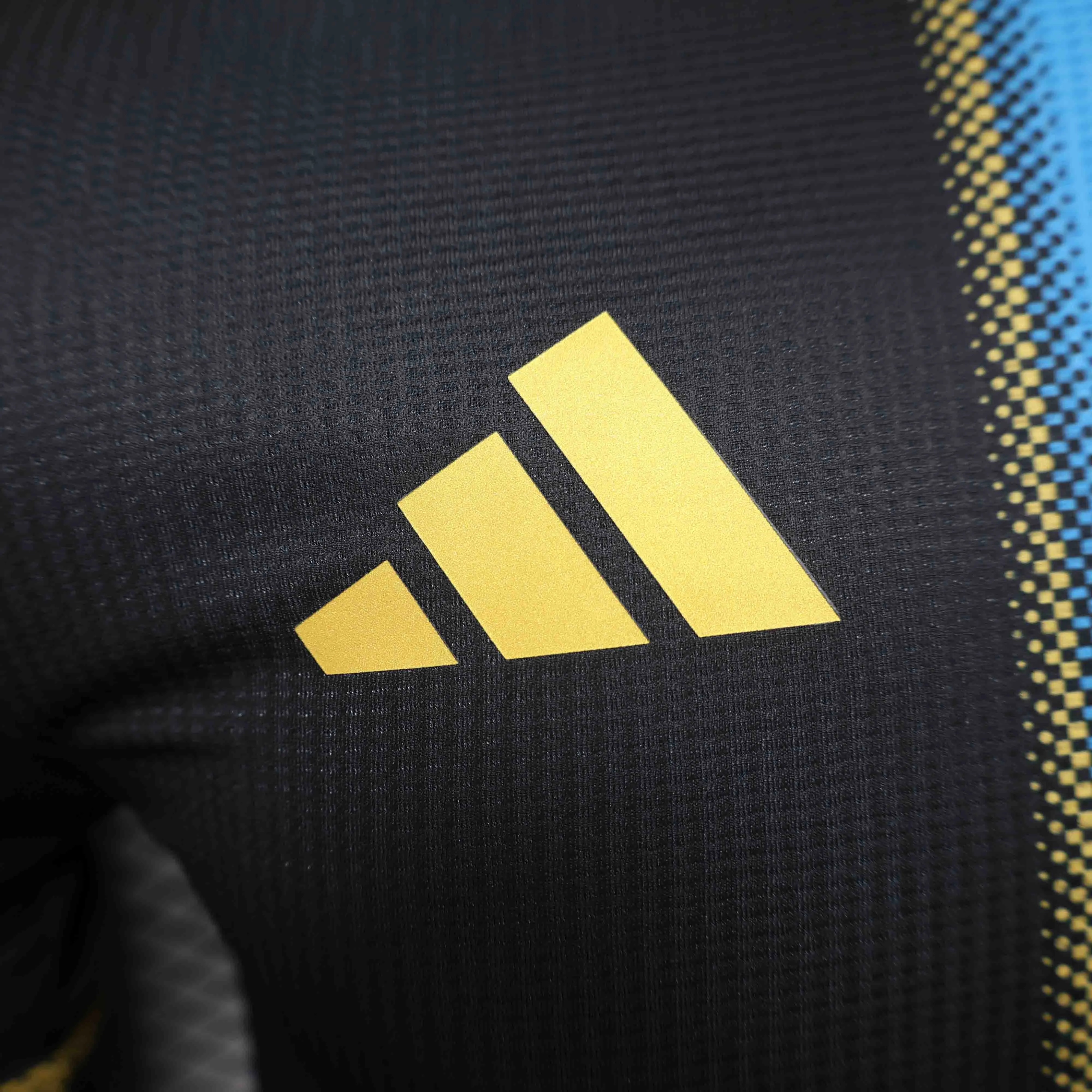 Argentina Soccer Jersey Special Edition 2024