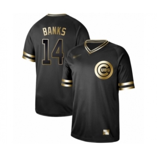 Men's Chicago Cubs #14 Ernie Banks Authentic Black Gold Fashion Baseball Jersey - Ujersey