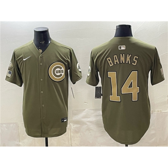Men's Chicago Cubs #14 Ernie Banks Royal Olive 2026 Armed Forces Day Salute To Service Stitched Baseball Jersey - Ujersey