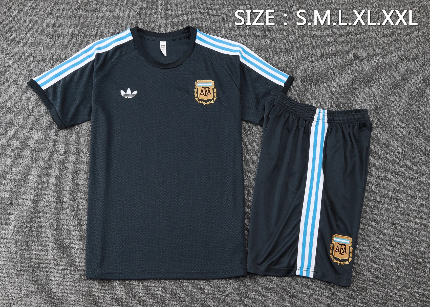 Argentina Training Jersey Kit Gray 2025 - Ujersey NHL