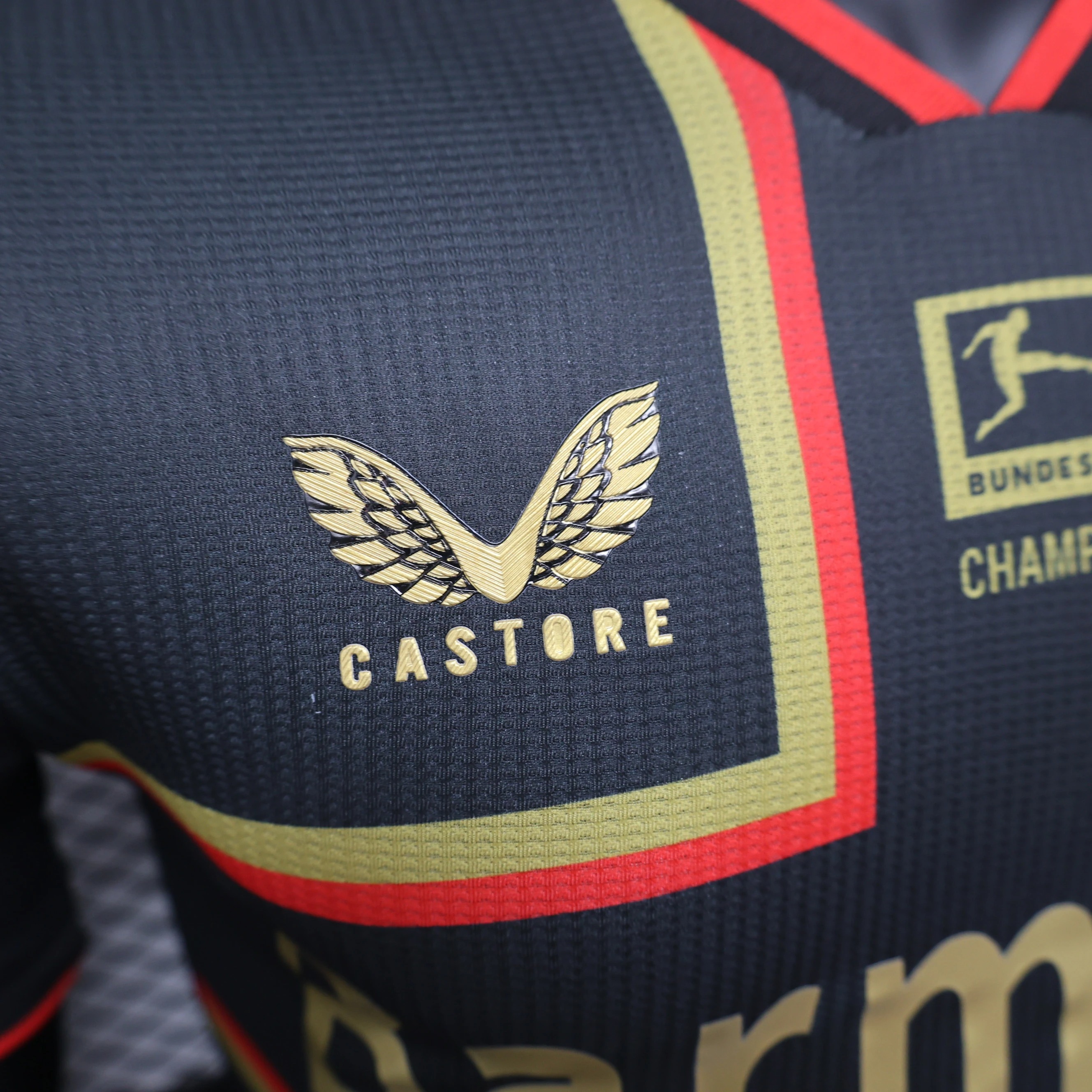 Bayer 04 Leverkusen Soccer Jersey Champions Special Edition Shirt 2024/25 - U-jersey