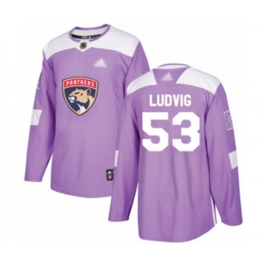 Youth Florida Panthers #53 John Ludvig Authentic Purple Fights Cancer Practice Hockey Jersey - Ujersey