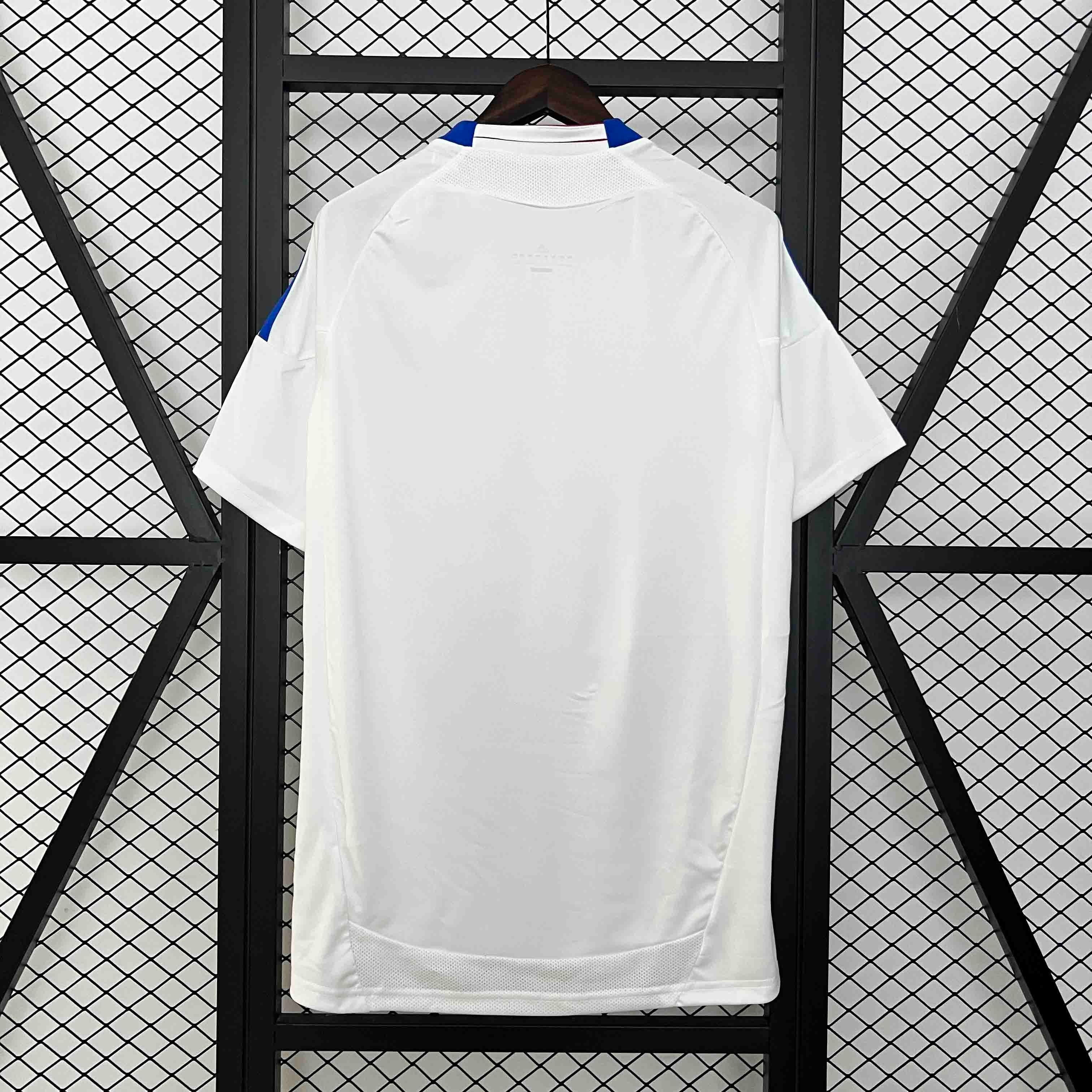 Olympique Lyonnais Retro Football Jersey Home Custom Shirt 2010-11 - U-jersey